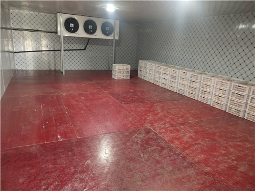 醫(yī)藥冷庫安裝